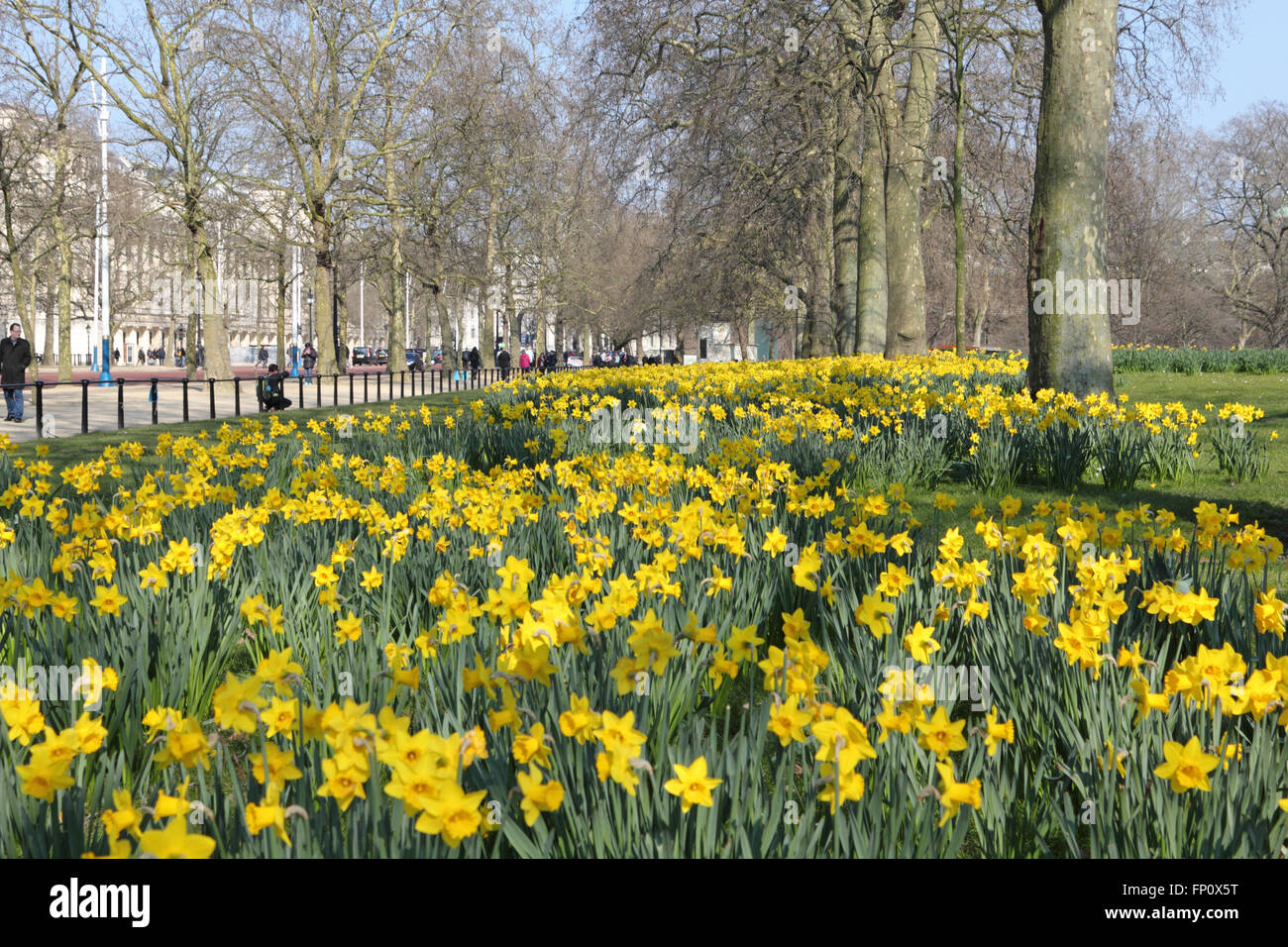 James Gavin Photos James Gavin Images Page 5 Alamy