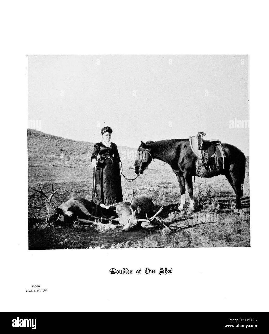 Hoofs, Claws and Antlers of the Rocky Mountains présente des photographies détaillées de la faune des montagnes Rocheuses. La planche 28 présente des images de bois de cerf, montrant leur taille et leur structure complexe comme faisant partie de la biodiversité de la région. Banque D'Images