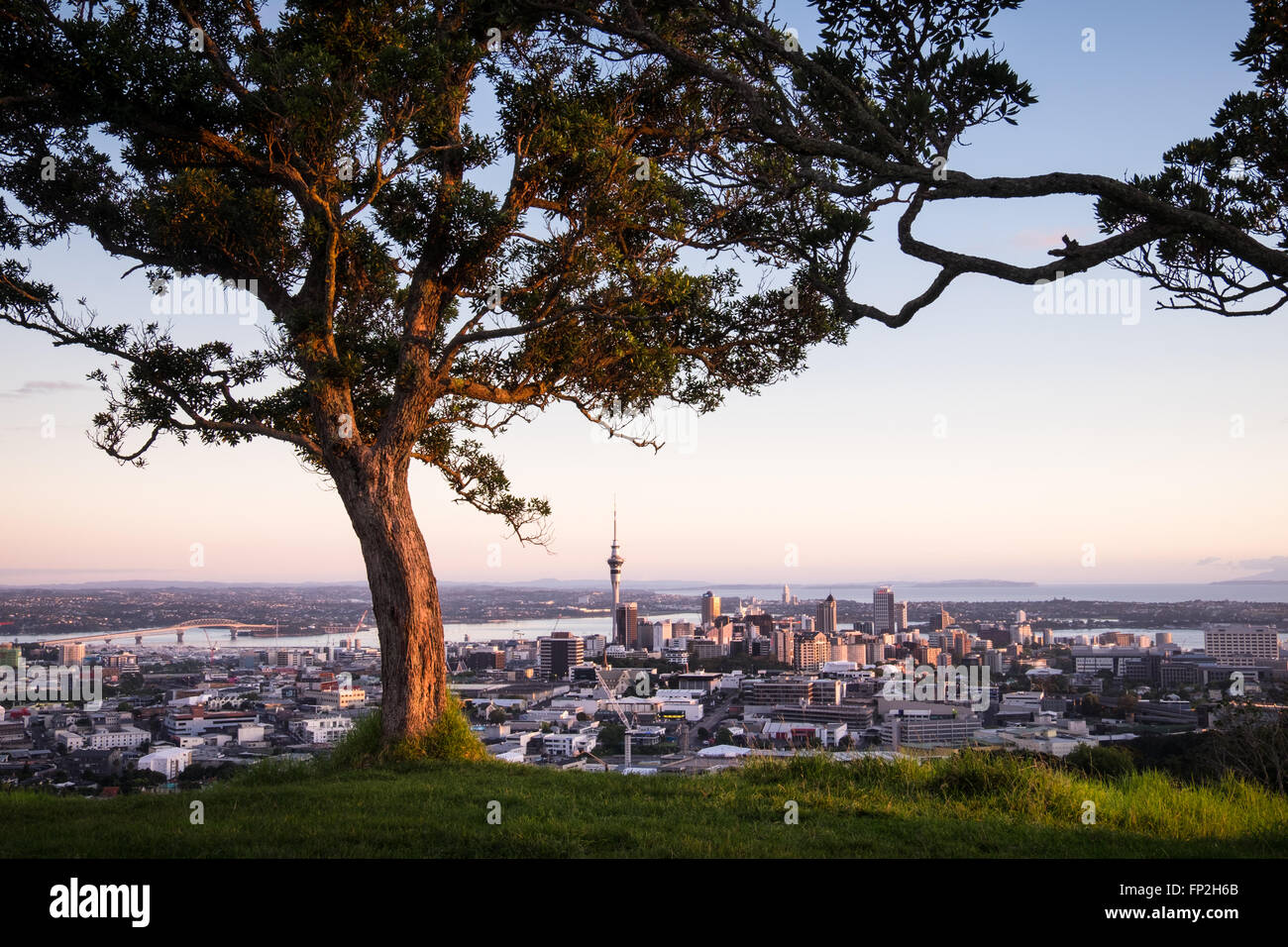 Une vue sur Auckland City de Mt. Eden. Banque D'Images