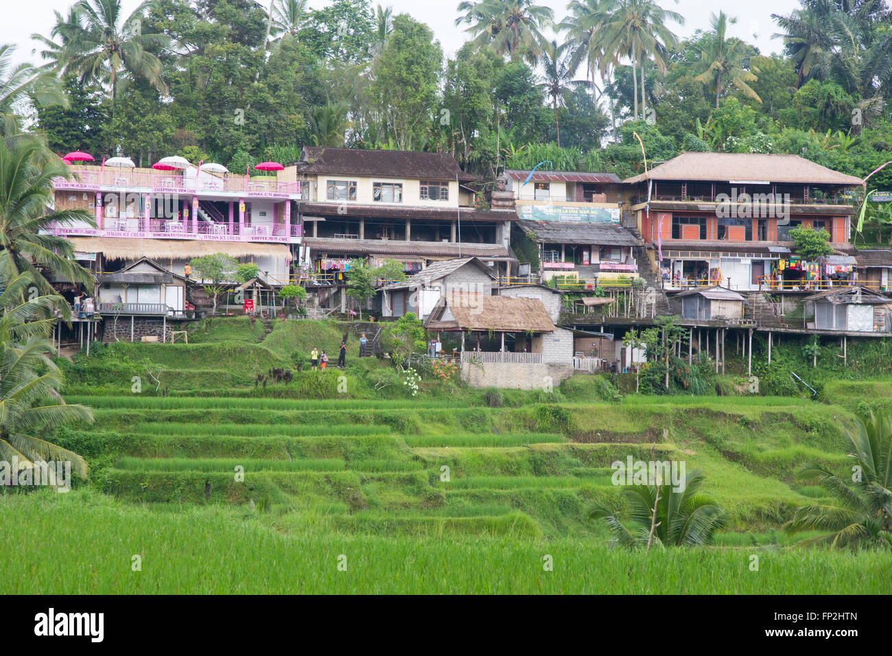 L'Asie, l'INDONÉSIE, Bali. Village coloré maisons et des magasins près de rizières en terrasses Subak de l'île de Bali, Indonésie. Banque D'Images