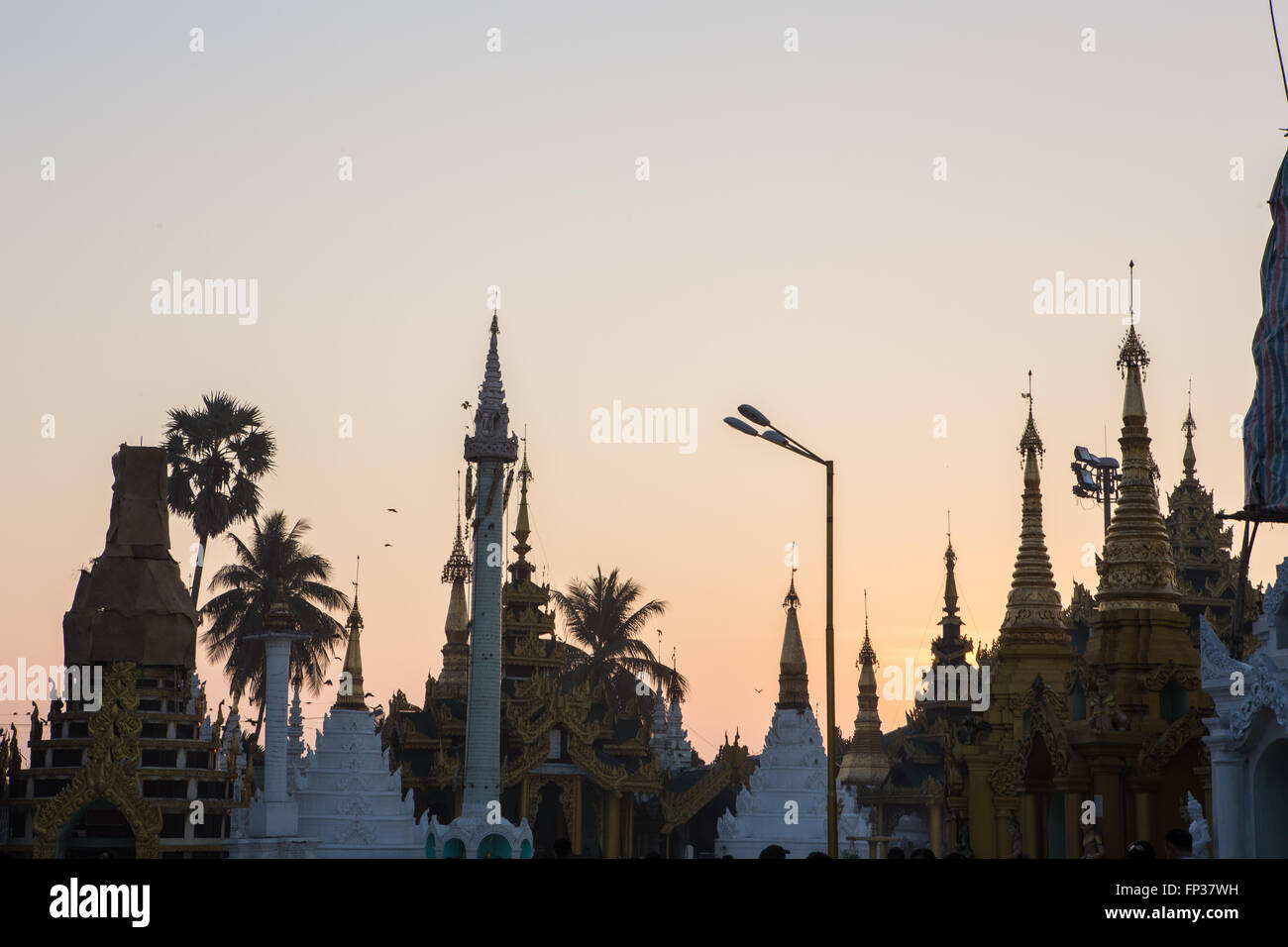 Sunrise silhouette de la pagode Shwedagon skyline Banque D'Images