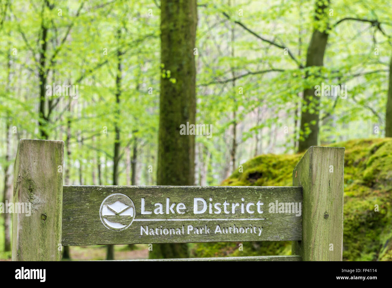 Lake District, Royaume-Uni - Mai 09, 2015 : Lake District Bois Penny signe Rock Banque D'Images