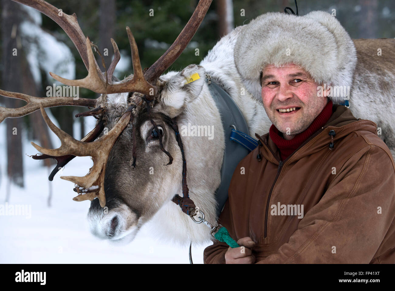 Portrait d'un berger avec ses rennes. Élevage de rennes en Laponie, Finlande Salla. Le renne est une icône de la Laponie finlandaise, un Banque D'Images