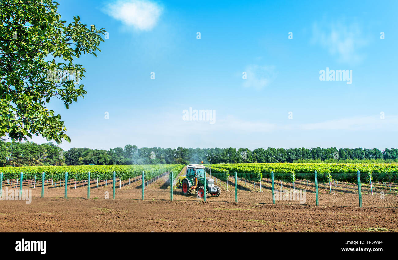 La pulvérisation du tracteur avec le pulvérisateur, herbicides et pesticides. Banque D'Images