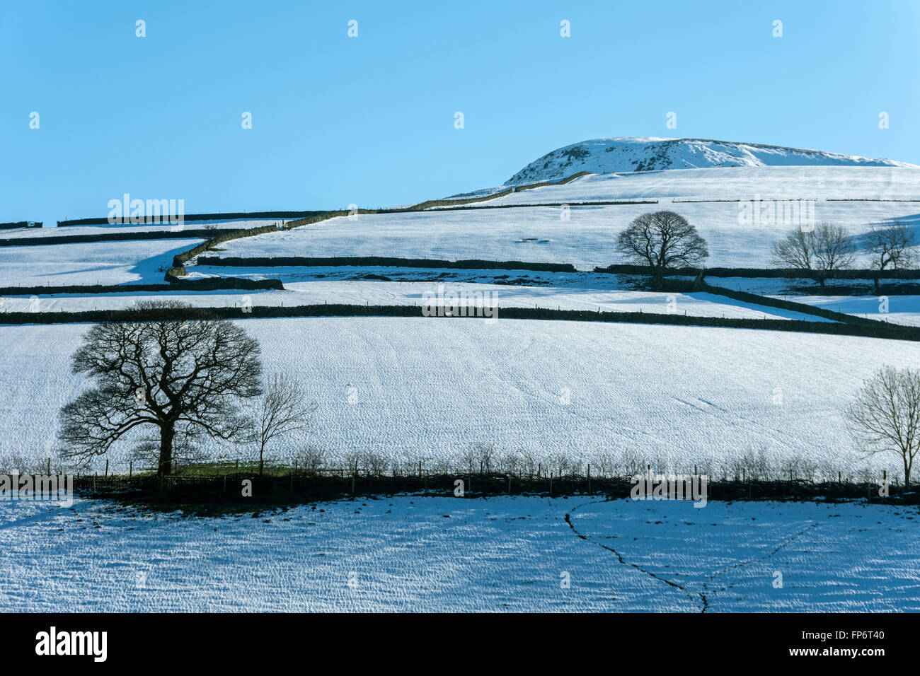 Le Kinder du scoutisme sur le plateau Sett Valley, près de Hayfield, Peak District, Derbyshire, Angleterre, Royaume-Uni. Montage de la crête de la famine. Banque D'Images