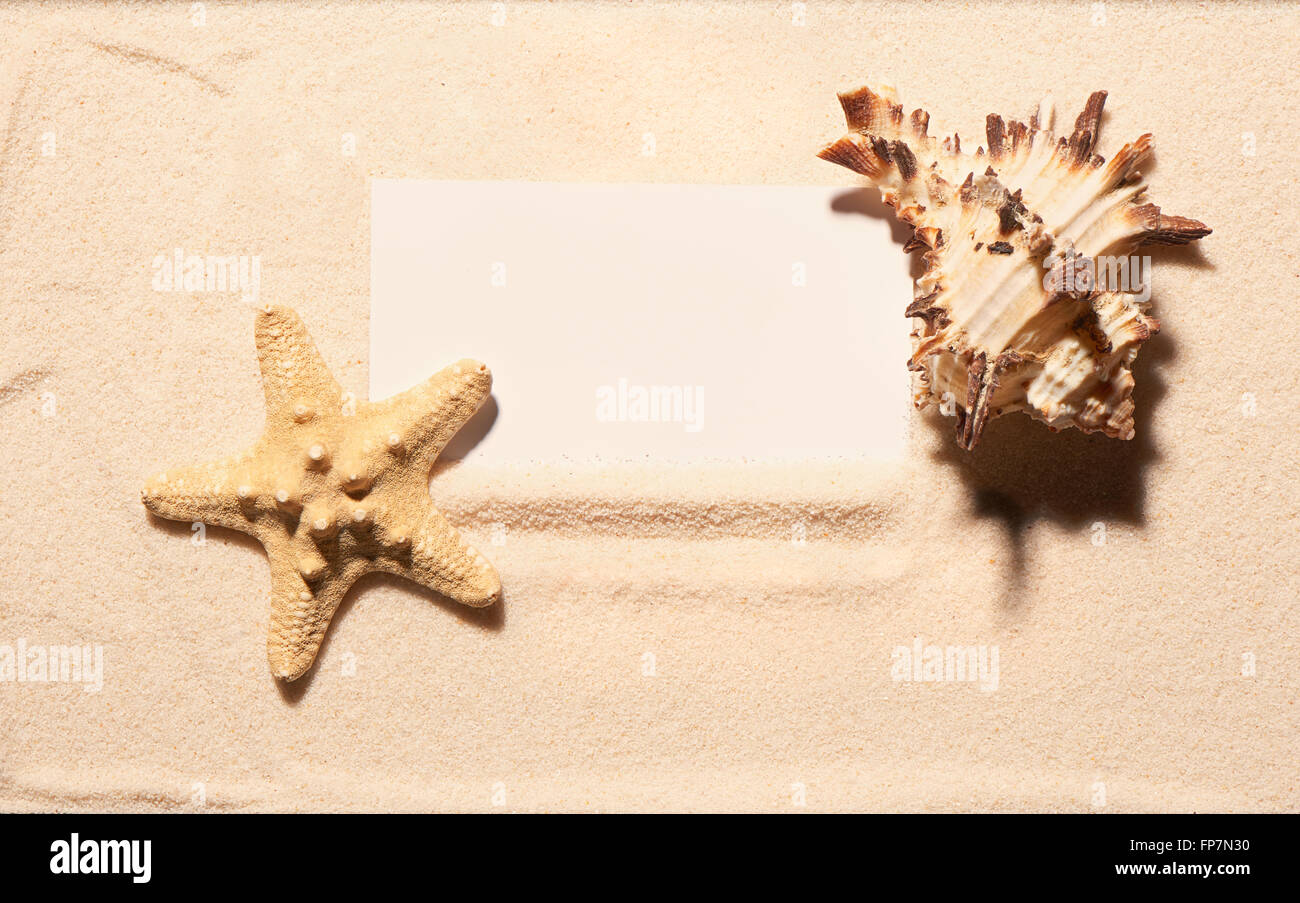 Carte de visite blanche avec étoile de mer et coquillages de mer sur le sable. Fond de plage d'été. Vue de dessus Banque D'Images