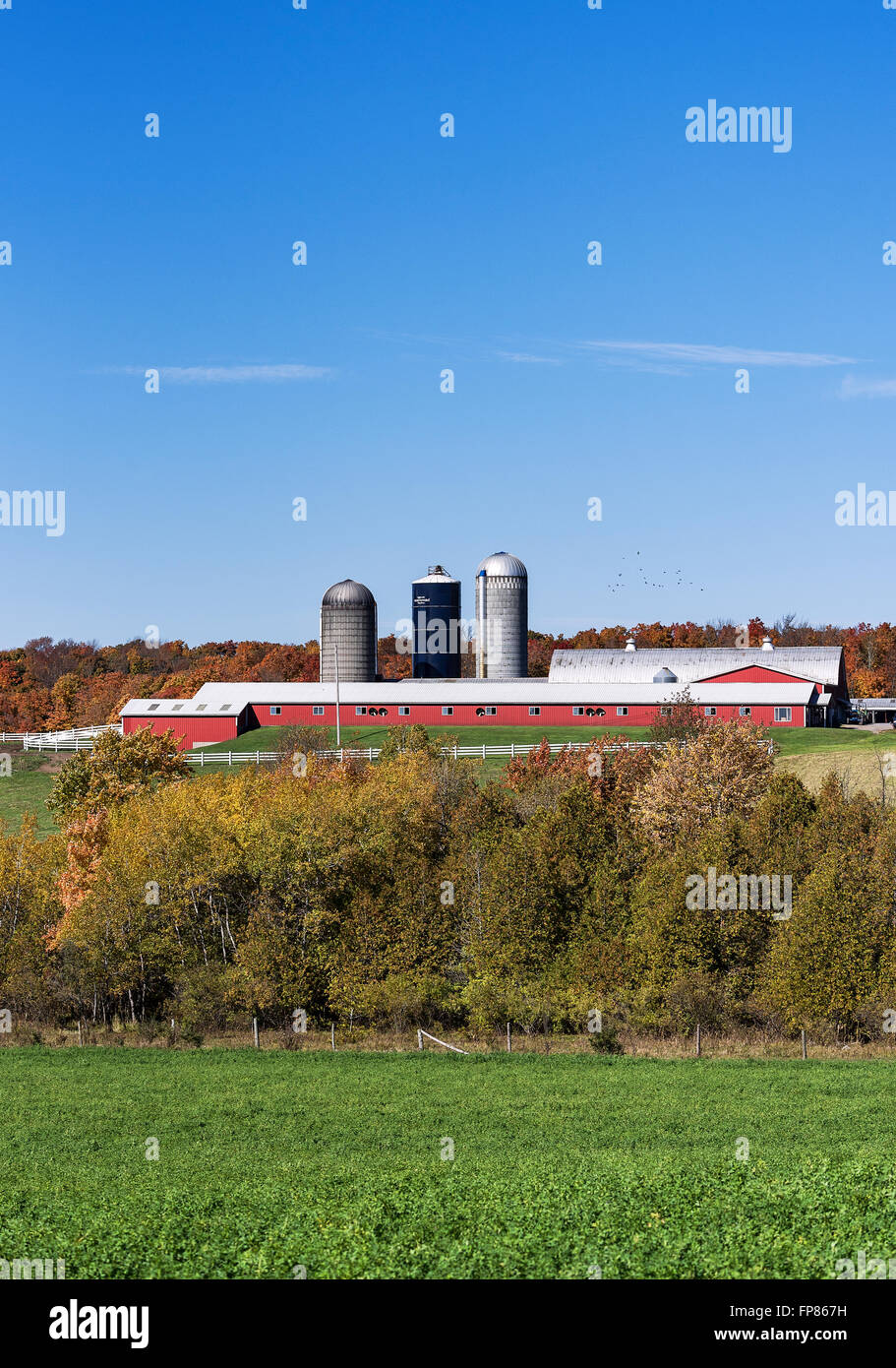 Cheval rustique barn, Richfield Springs, New York, USA Banque D'Images