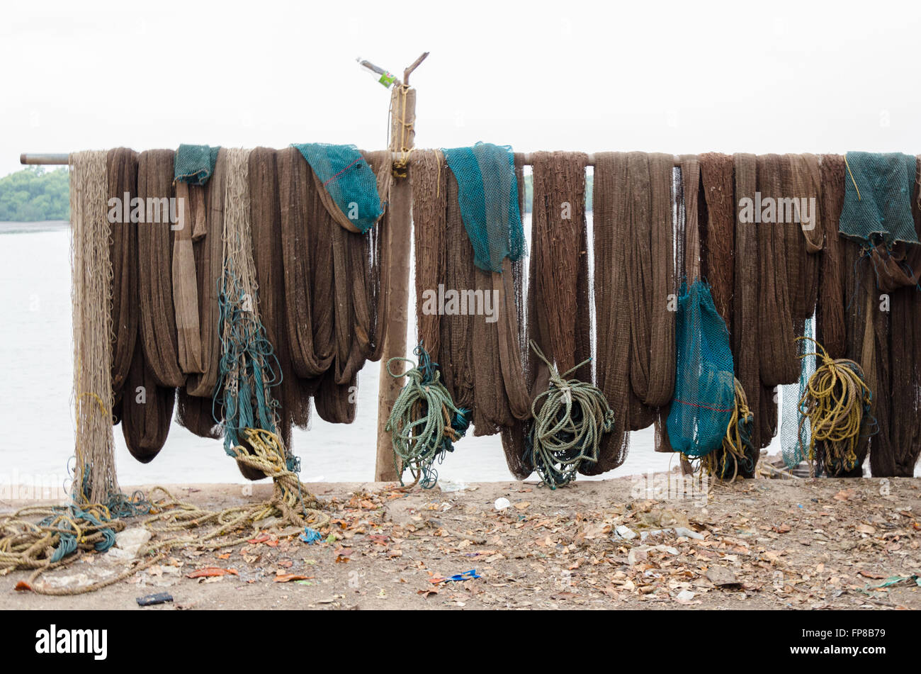 Filets de pêche traditionnels Goan hung à la dessiccation à Madkai, Ponda, Goa, Inde Banque D'Images