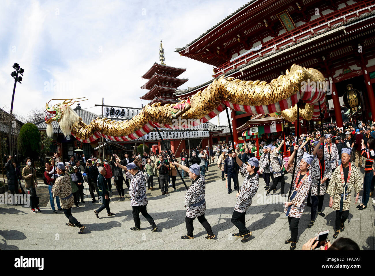 Tokyo, Japon. 18 mars, 2016. Une danse du dragon doré ou Kinryu-no-Mai est effectuée à la Temple Sensoji à Asakusa le 18 mars 2016, Tokyo, Japon. Le festival annuel célèbre la fondation de temple Sensoji, qui est également connu en tant que Kinryu-zan, littéralement Montagne du Dragon doré. Selon la légende, quand le temple a été fondé un dragon d'or est descendu du ciel la création d'un bosquet de pins 1 000 près du temple de la 18e journée. Le dragon utilisé dans la danse est 88kg et 18m de longueur et est exploité par 8 personnes. Credit : AFLO Co.,Ltd/Alamy Live News Banque D'Images