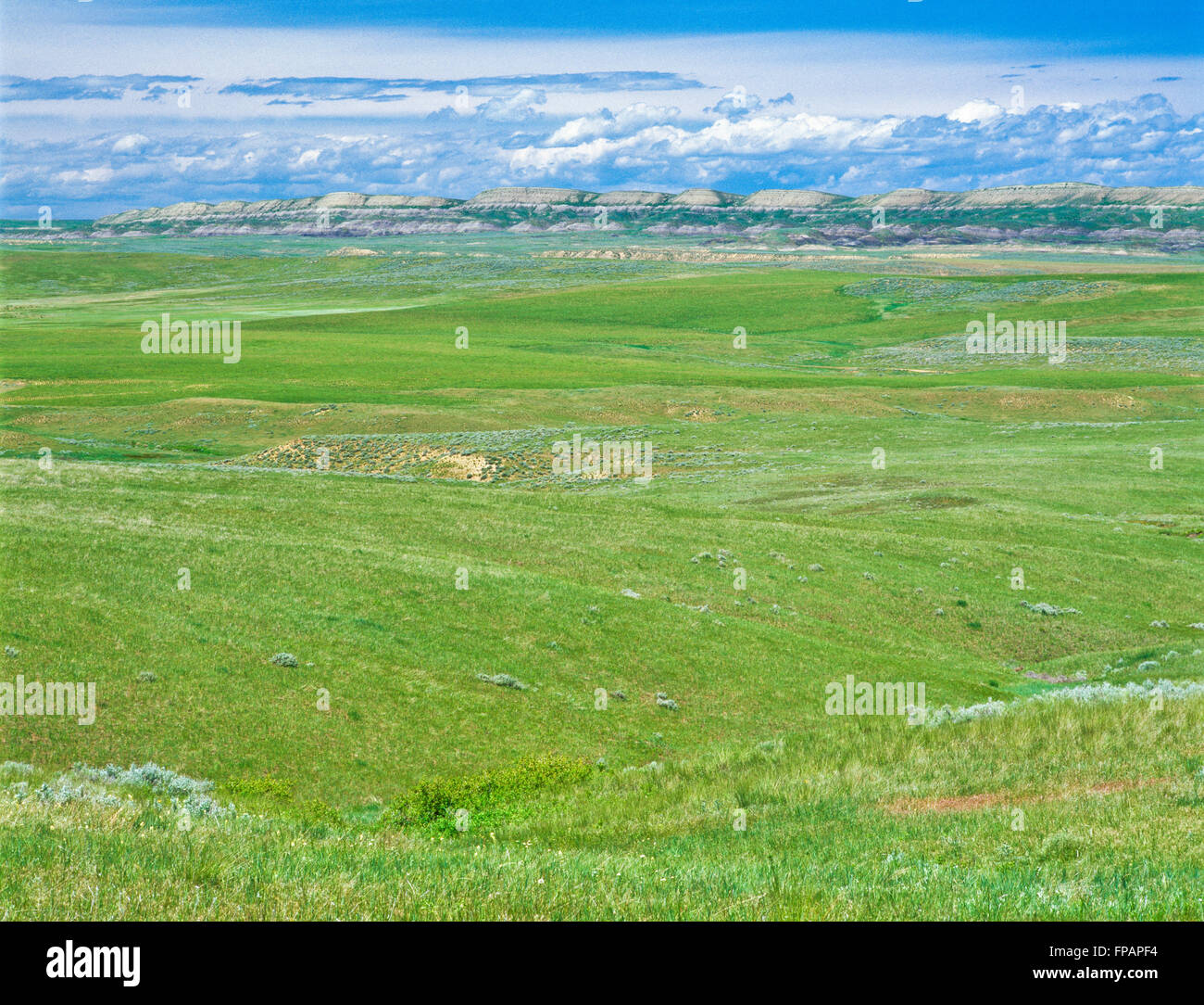 Grande Prairie et distant hills badlands près de st. Xavier, Montana Banque D'Images