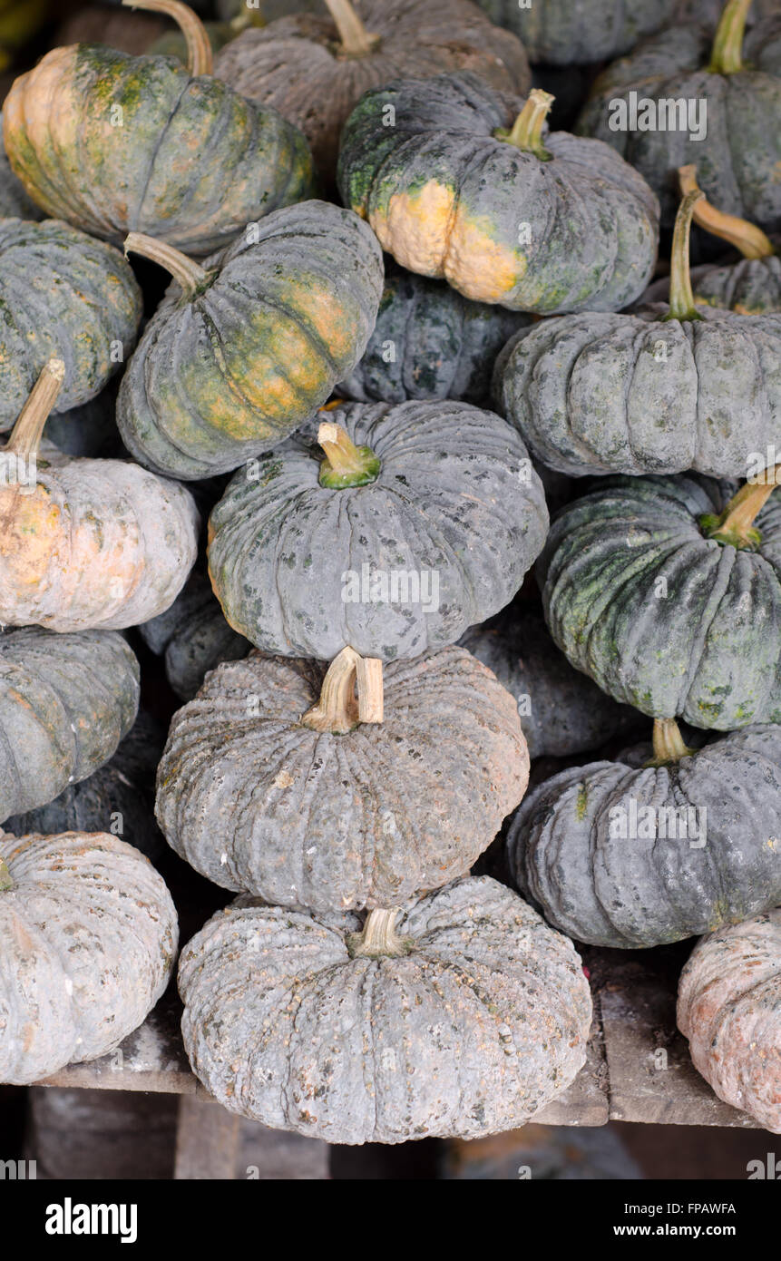 Les citrouilles sur le marché local, la Thaïlande Banque D'Images