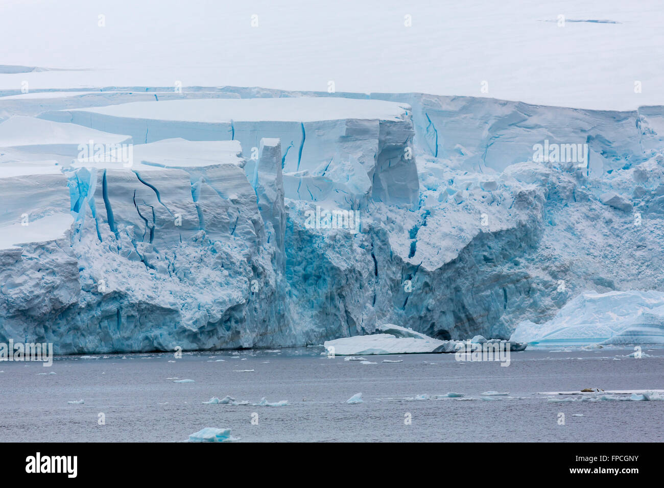 Gros plan de l'orteil d'un glacier dans la péninsule Antarctique, l'Antarctique. Banque D'Images