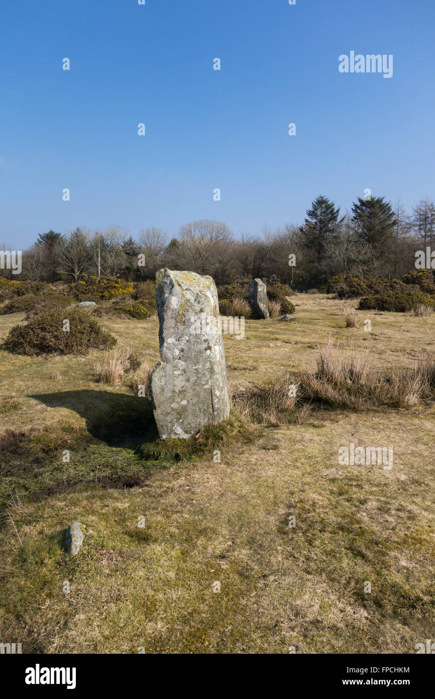 Les deux pierres aberrantes, Gors Fawr,, l'a amenée, Pembrokeshire, UK Banque D'Images
