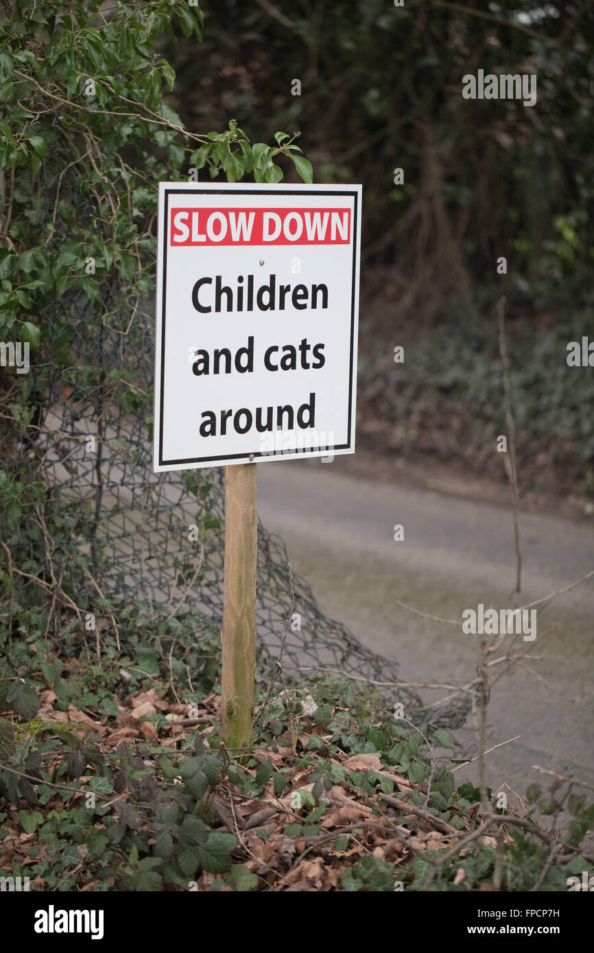 Panneau routier. Ralentir, les enfants et les chats autour. Chemin Rural, Norfolk. Banque D'Images