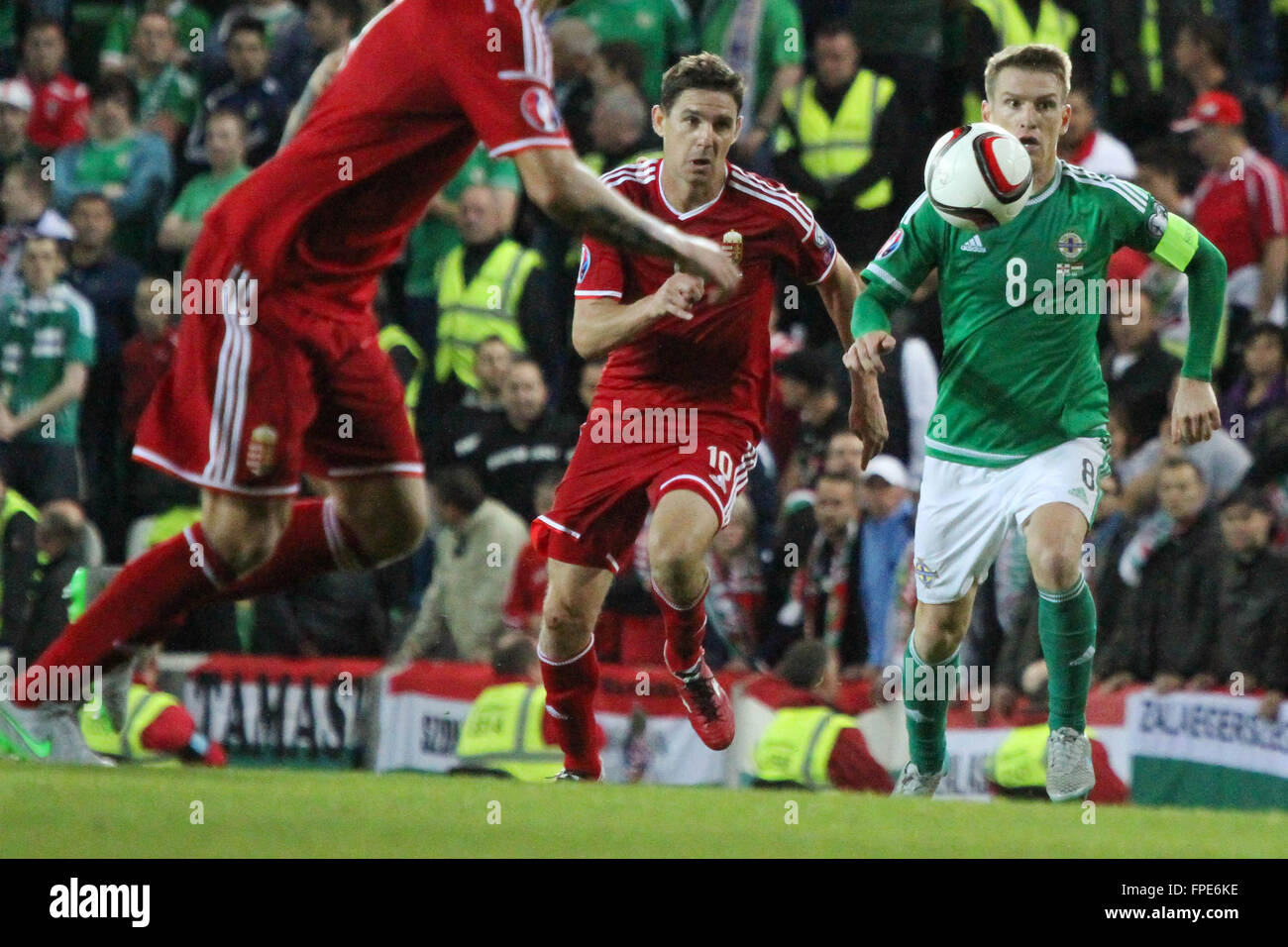 07 Sept 2015 - Euro 2016 Qualifications - Groupe F - Irlande du Nord 1 Hongrie 1. L'Irlande du Nord, Steven Davis (8) et de l'Hongrie Zoltan Gera (10) eye la balle. Banque D'Images