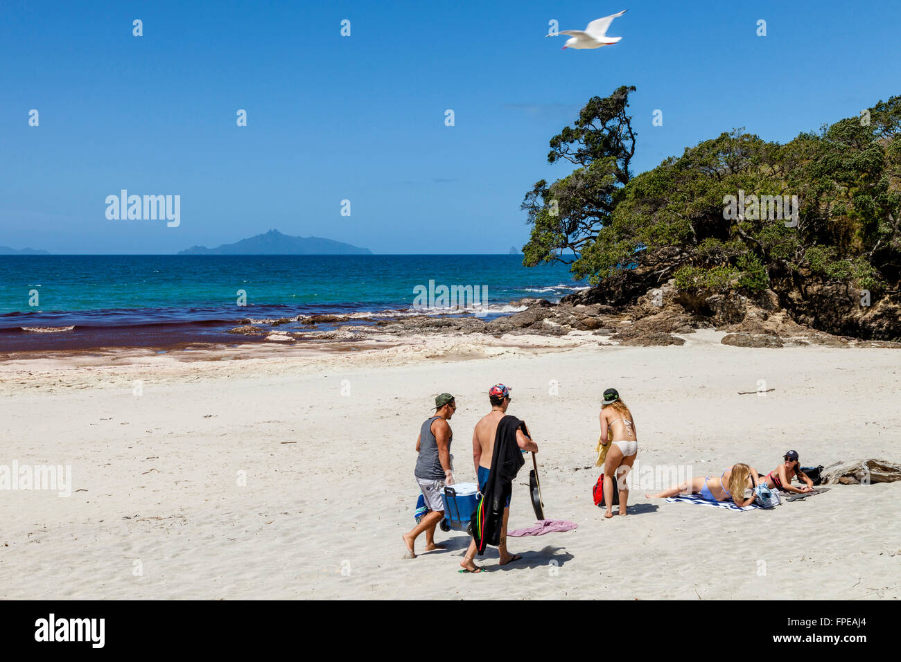 Les jeunes sur la plage de Waipu Cove, Waipu, Nouvelle-Zélande Banque D'Images