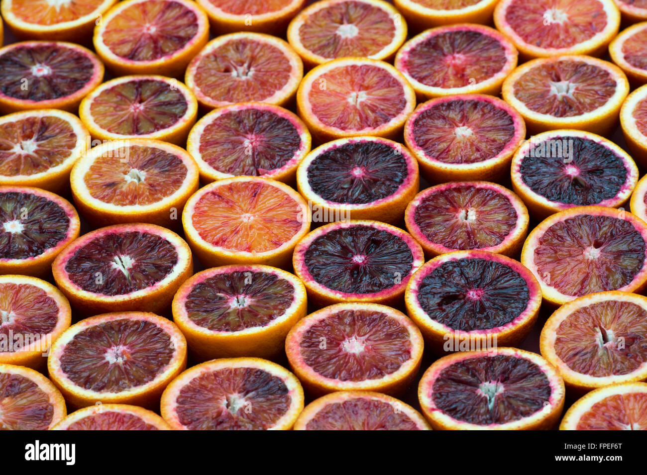 X Citrus sinensis. Modèle d'orange sanguine Banque D'Images