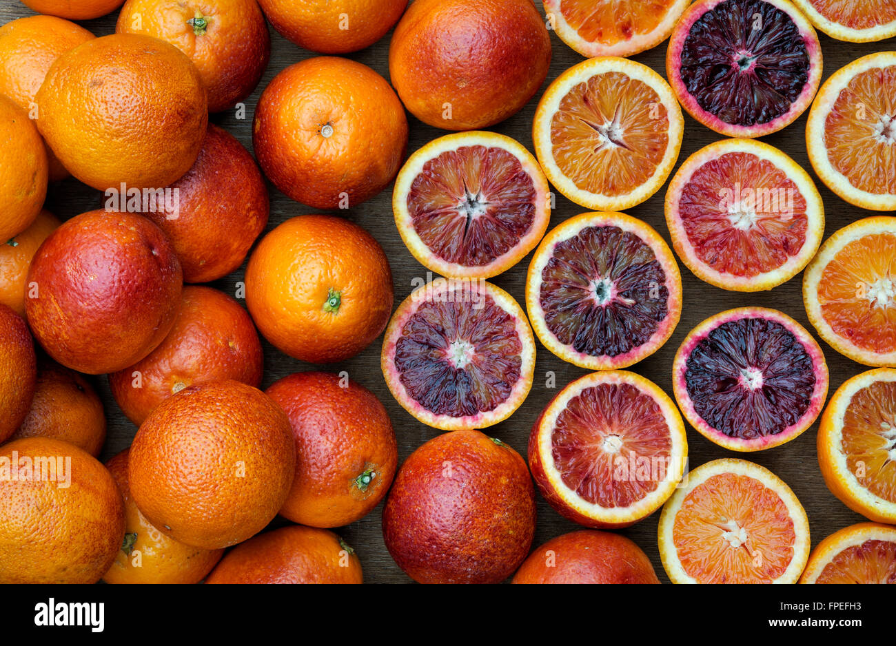 X Citrus sinensis. Modèle d'orange sanguine Banque D'Images