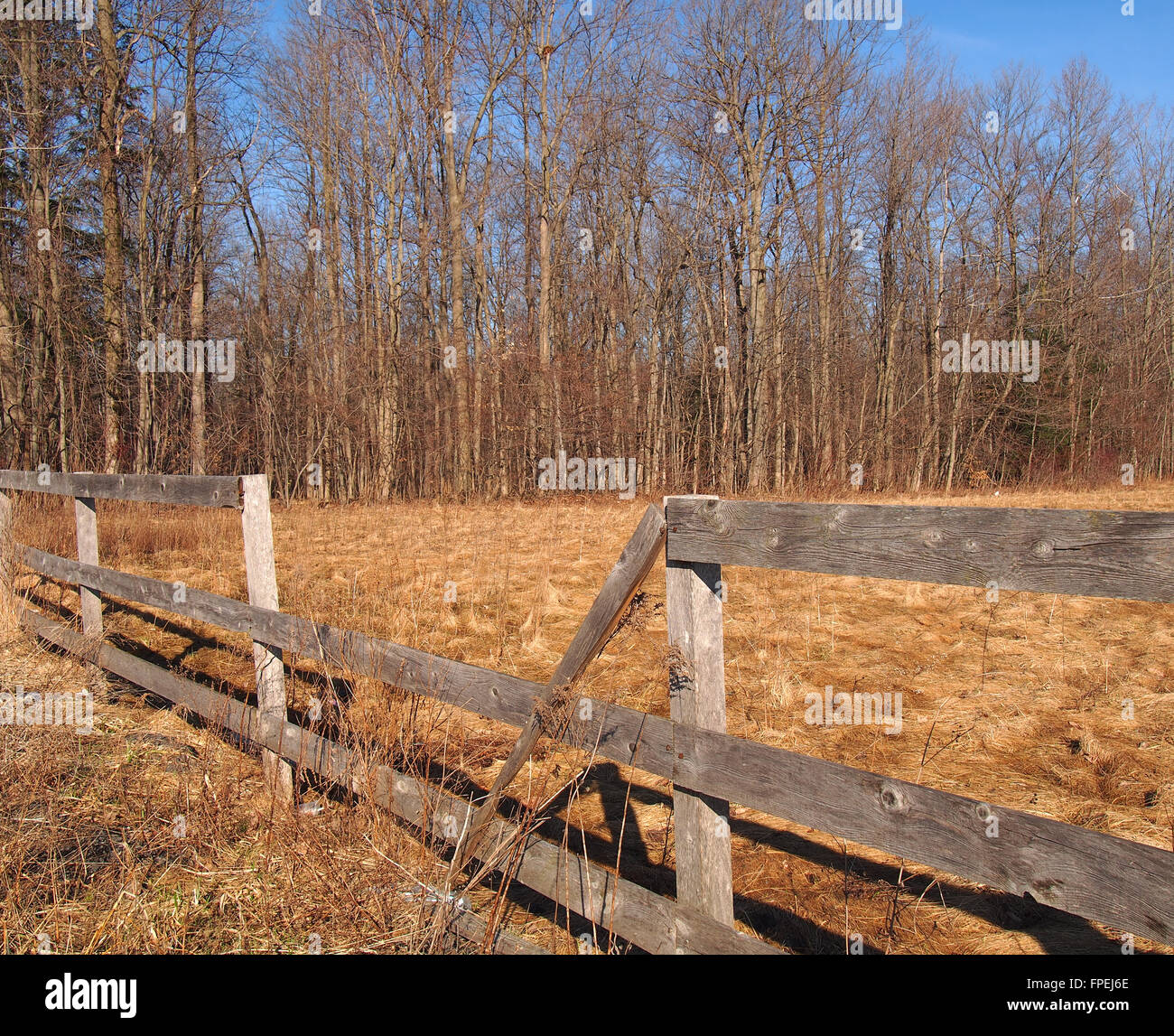 Clôture de ferme en bois cassée Banque D'Images