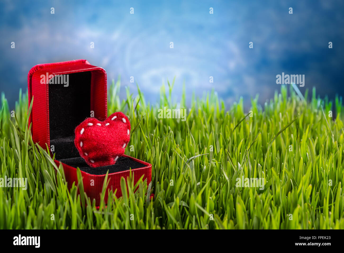 Concept d'amour. Bague Coeur en feutre fort Banque D'Images