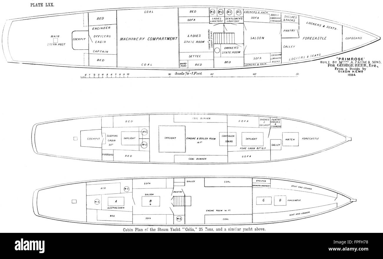 YACHT À VAPEUR PLAN CABINE : 'Primrose' 'Celia', Payne, antique print 1891 Banque D'Images