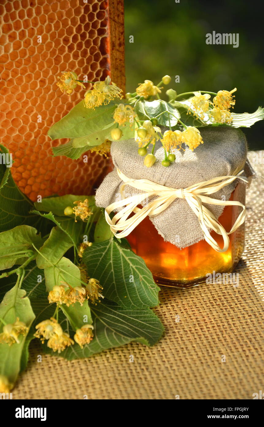 Pots de miel frais et délicieux avec des fleurs de tilleul et de miel Banque D'Images