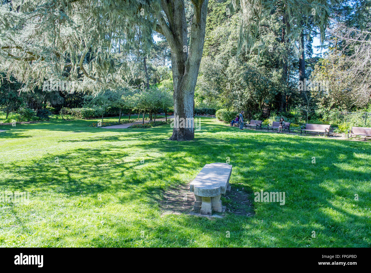 Jardin de Shakespeare, dans le parc du Golden Gate, San Francisco, California, USA Banque D'Images