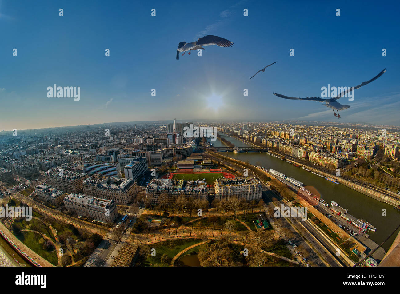 Nuée d'oiseaux sur Paris au coucher du soleil - concept de la Liberté Banque D'Images