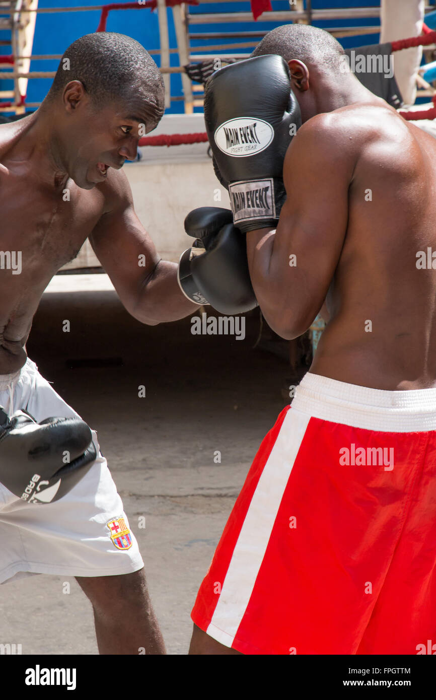 Cuba, La Havane, Rafael Trejo Boxing gym, un centre cubain de former et d'apprendre la boxe. La boxe est l'un des sports favoris. Banque D'Images