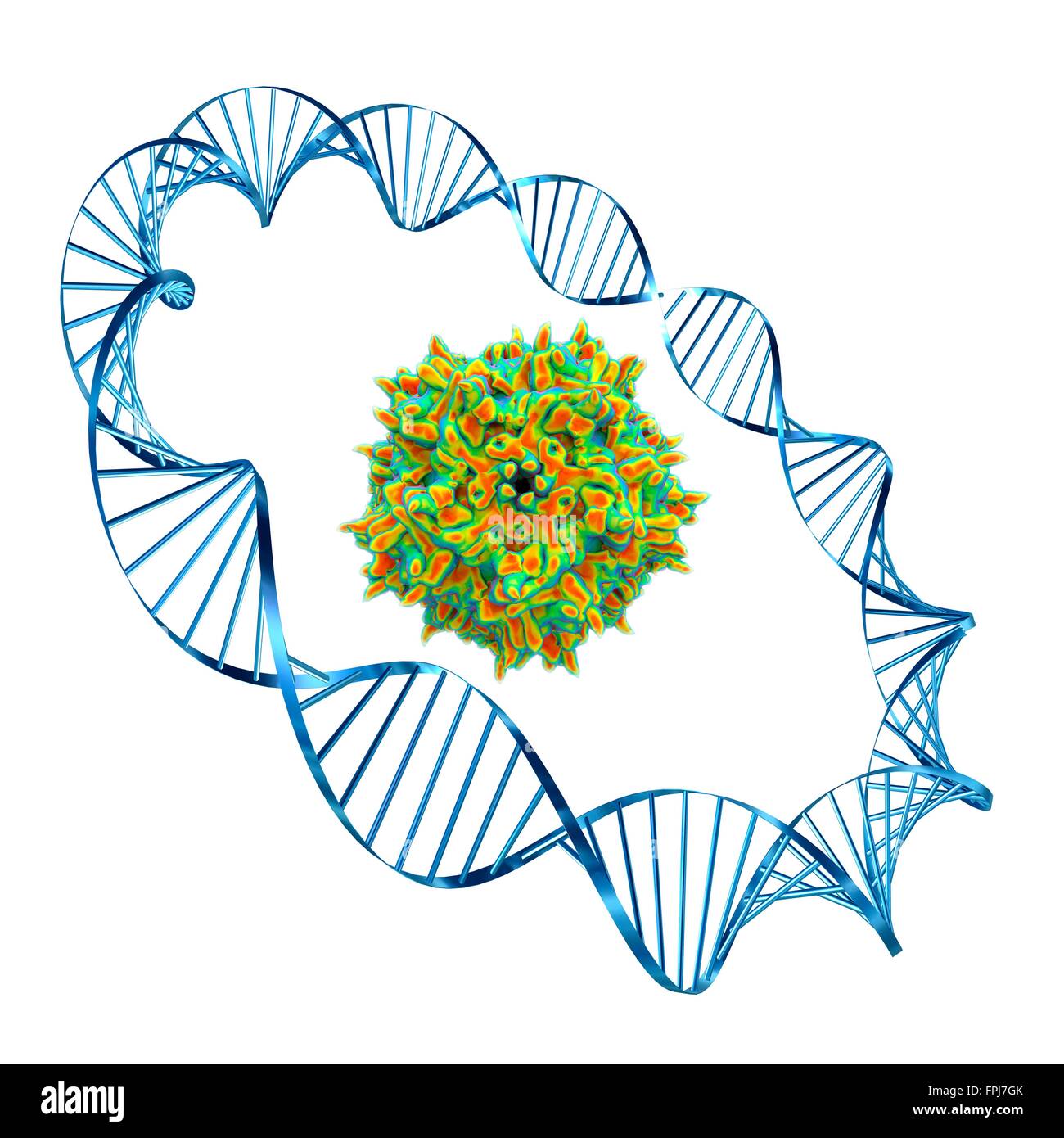Virus adéno-associé enroulé autour d'un ADN circulaire str . L'oeuvre de l'ordinateur. Adeno-associated virus (AAVs) sont les Banque D'Images