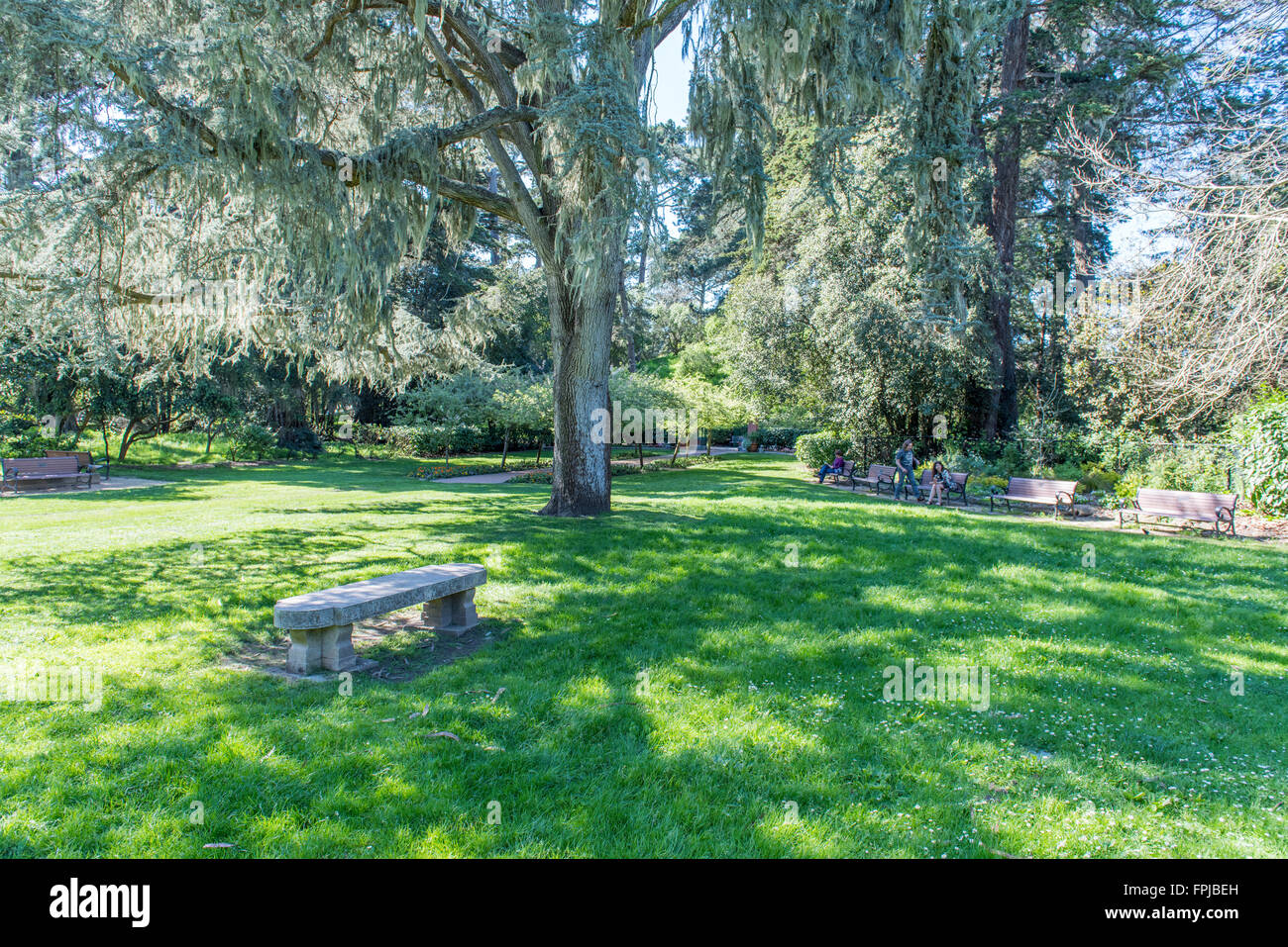 Jardin de Shakespeare, dans le parc du Golden Gate, San Francisco, California, USA Banque D'Images