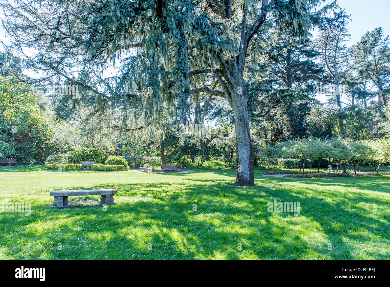 Jardin de Shakespeare, dans le parc du Golden Gate, San Francisco, California, USA Banque D'Images