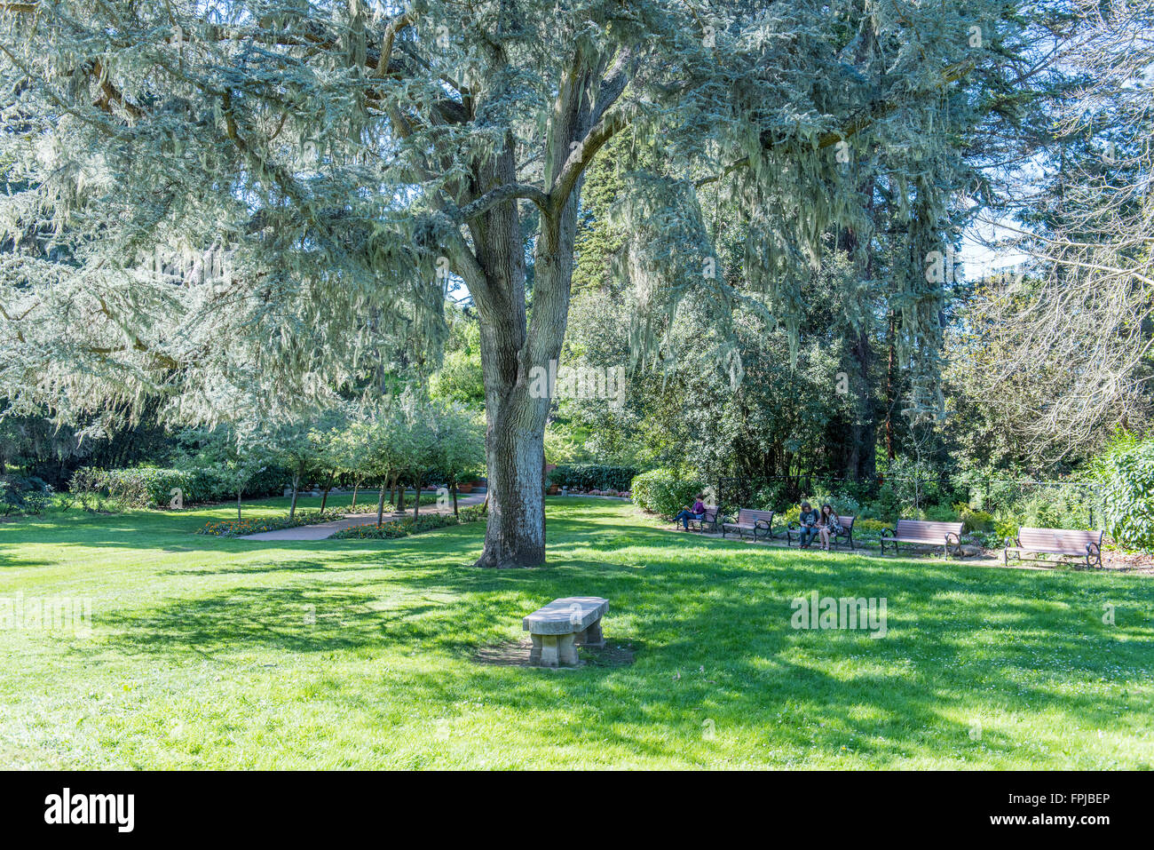 Jardin de Shakespeare, dans le parc du Golden Gate, San Francisco, California, USA Banque D'Images