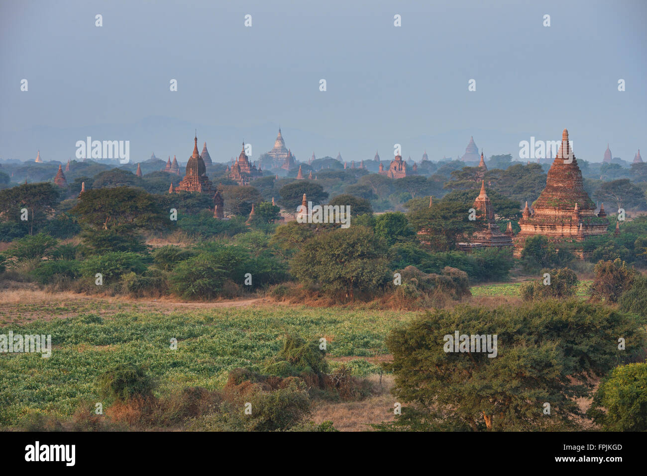 Les temples de Bagan in early morning light, Myanmar Banque D'Images