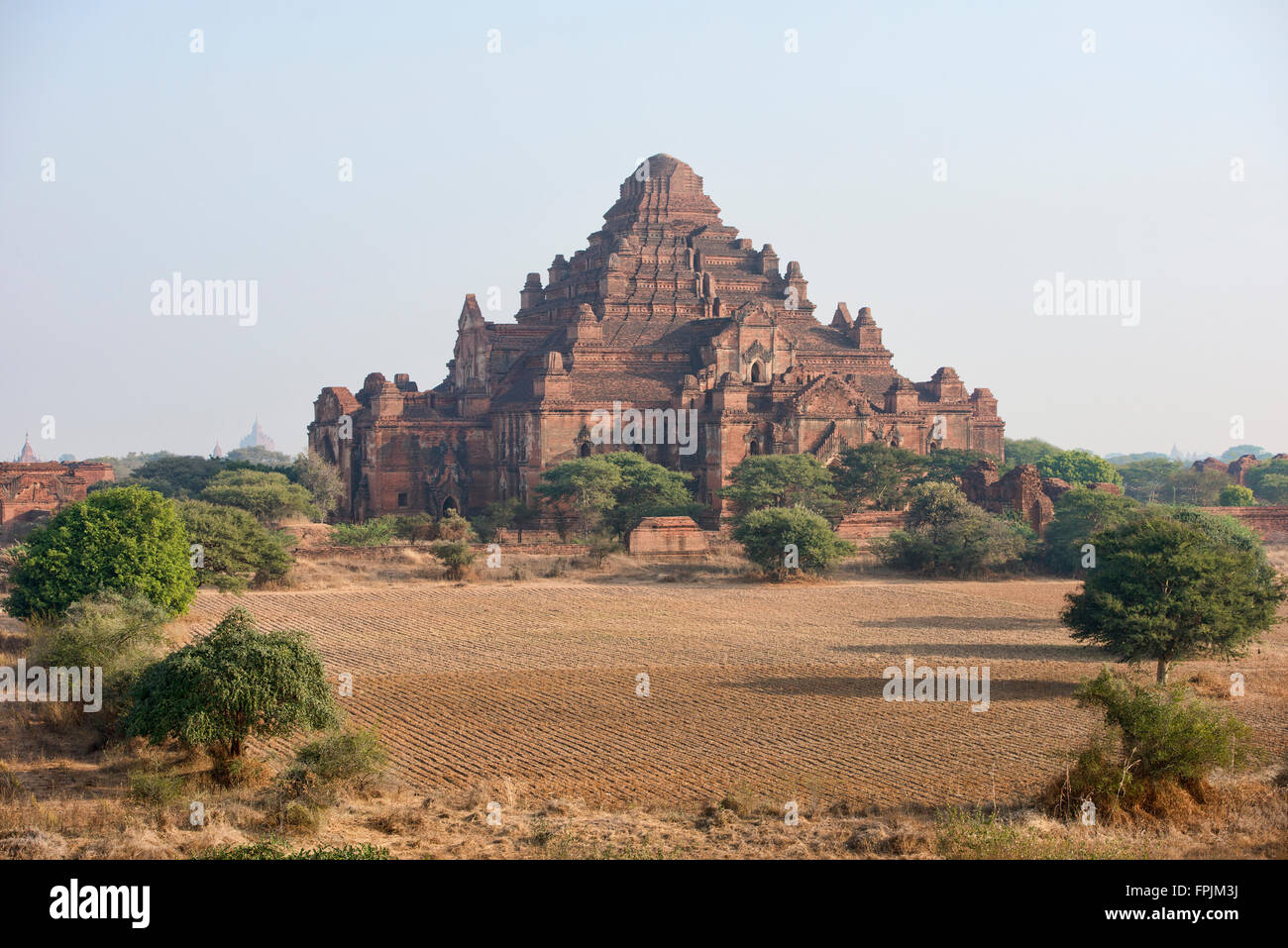 Temple Dhammayangyi s'élève au-dessus des plaines, Bagan, Myanmar Banque D'Images