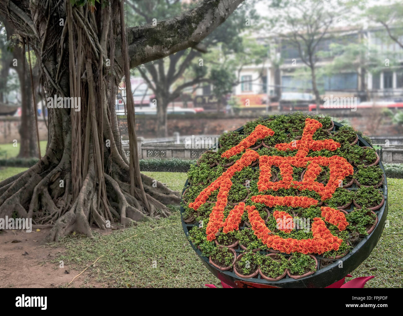 Le caractère chinois signifiant de la vertu, la morale, l'éthique écrit en orange fleurs sur une base blmetal comme une fleur de lotus. Je Banque D'Images