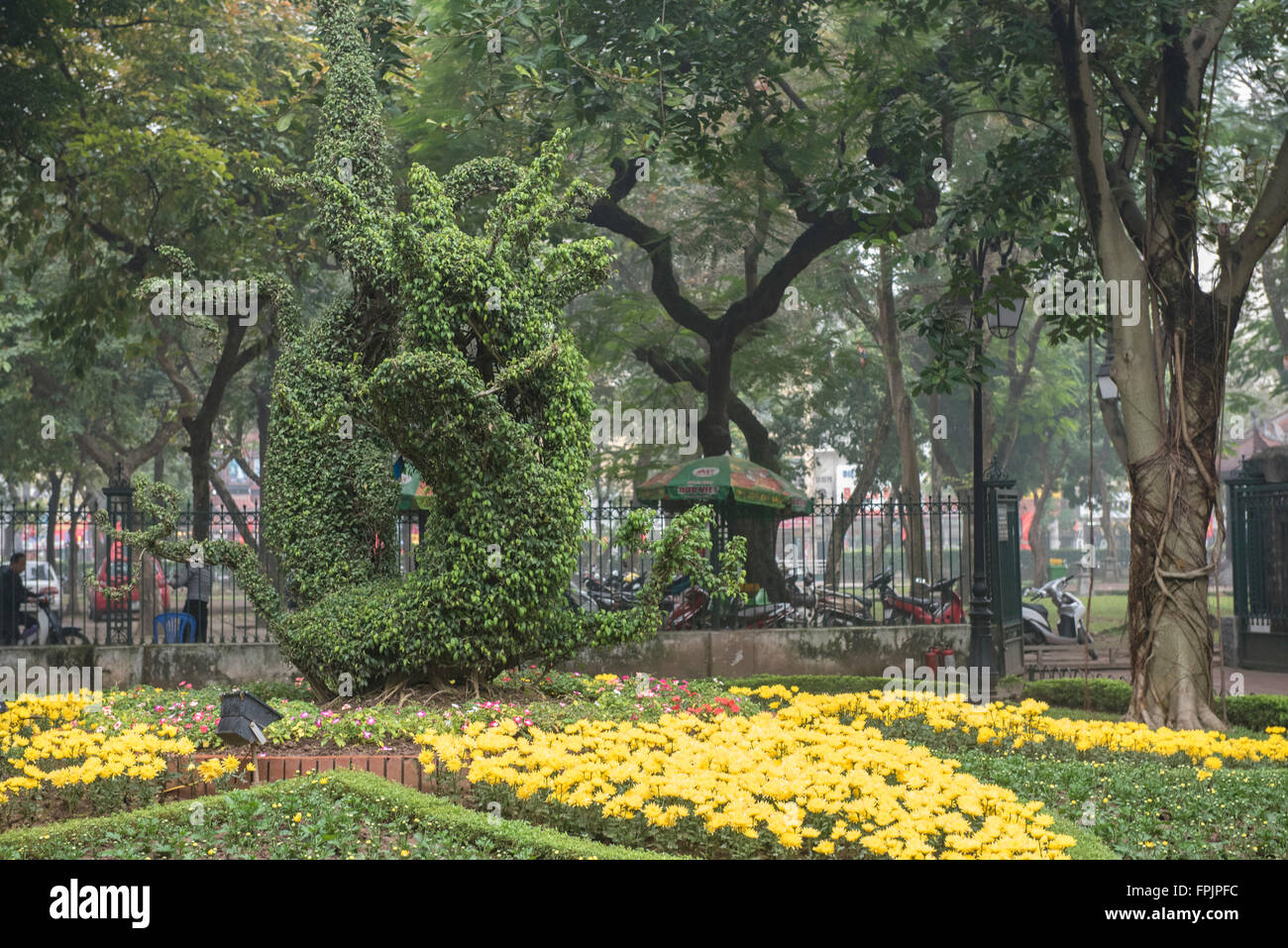 Dragon topiaire dans le jardin du Temple de la littérature, Hanoi, Vietnam. C'est l'un des symboles de l'année Chinoise. Banque D'Images
