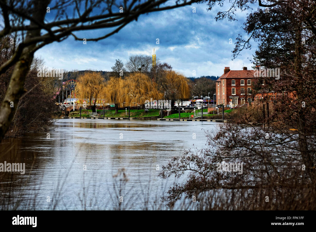 Saule sur la rivière Severn le canal du signal à des bassins la ville de Stourport sur une eau creusant placid Banque D'Images