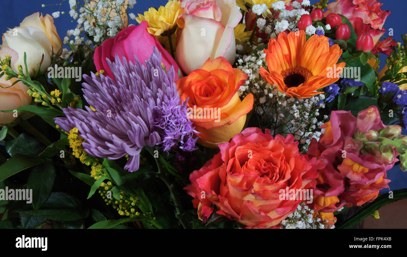 Close up of bouquet de fleurs sur fond bleu foncé Banque D'Images