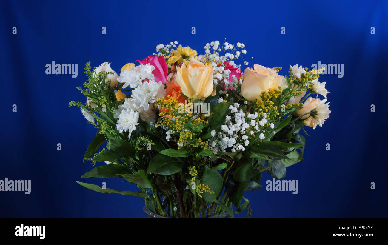 Bouquet de fleurs dans un vase de verre sur fond bleu foncé Banque D'Images
