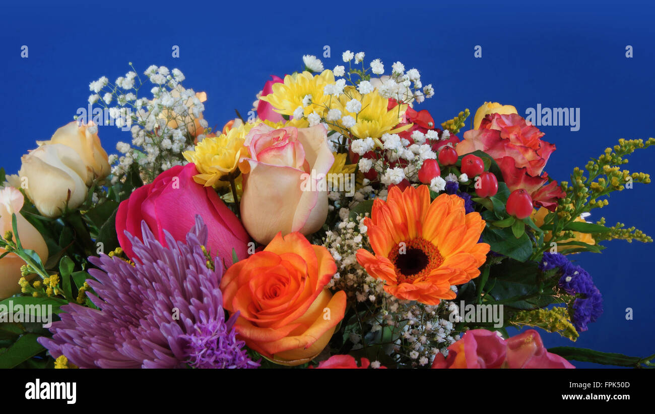 Close up of bouquet de fleurs sur fond bleu foncé Banque D'Images