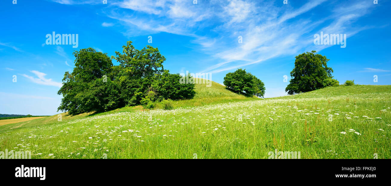 Paysage culturel avec des collines et des arbres, l'agriculture extensive, prés, Andechs, Bavière, Allemagne Banque D'Images