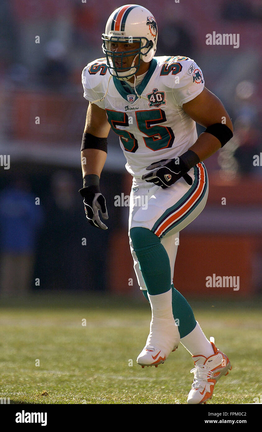 Cleveland, Ohio, USA. 20 Nov, 2005. Ligne Miami Dolphins Junior seau pendant la backer dauphins match contre les Browns de Cleveland à Cleveland Browns Stadium le 20 novembre 2005 à Cleveland, Ohio. Zuma Press/Scott A. Miller © Scott A. Miller/ZUMA/Alamy Fil Live News Banque D'Images