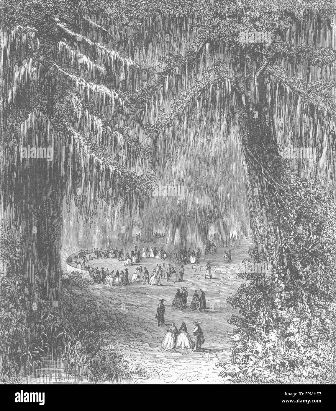 Mexique : cyprès Gdns de Chapultepec, antique print 1880 Banque D'Images