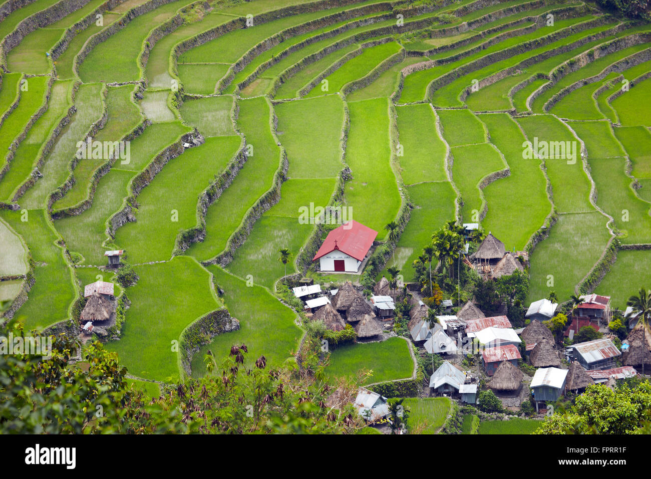 Les Cordillères, Banaue, UNESCO World Heritage site, rizières en terrasses des cordillères des Philippines, Batad village Banque D'Images