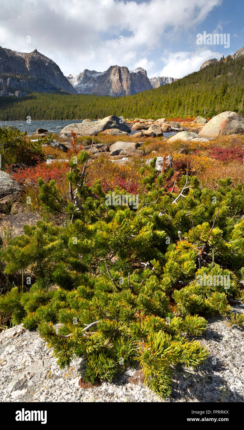 WY01319-00...WYOMING - Smith Lake et Cathedral Peak dans la Popo Agie Wilderness article de la gamme Wind River. Banque D'Images