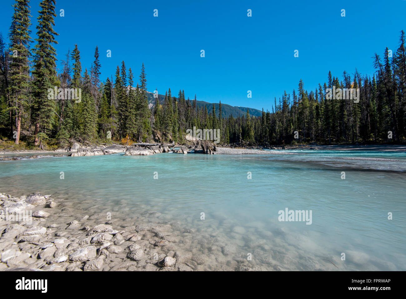 La rivière Kicking Horse, Canadian Rockies, Province de la Colombie-Britannique, Canada Banque D'Images