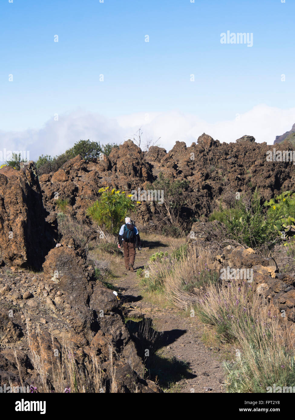 Male hiker sur un sentier à travers les roches volcaniques sur une randonnée dans l'étrange paysage de l'ouest Tenerife Banque D'Images