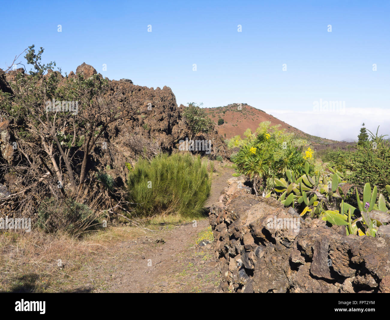 Bien préparé l'approche chemin mont Bilma volcan sur une randonnée dans le paysage volcanique dans l'ouest de Tenerife Espagne Banque D'Images