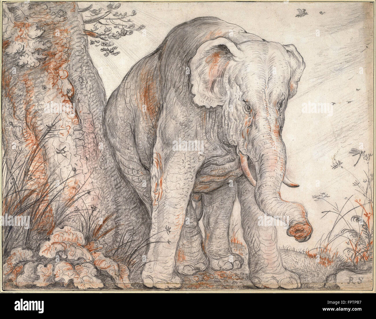 Roelant Savery - un éléphant se frotter contre un arbre - ch. 1608 1612 Banque D'Images